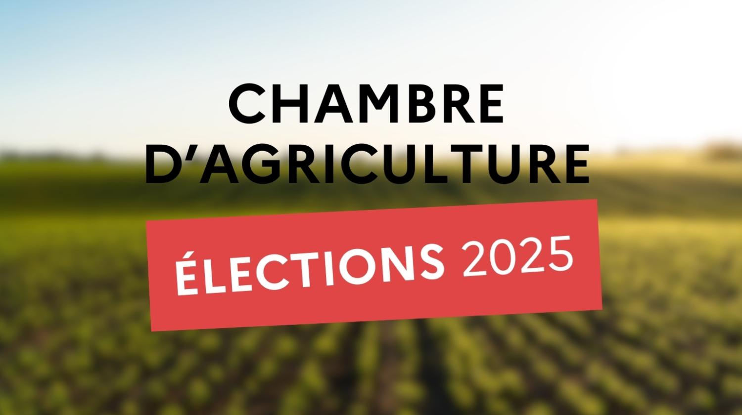 Élections des membres de la Chambre d'agriculture 2025